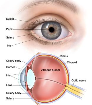 الصندوق يجري عمليات زراعة القرنية لعدد 1300 معاق 