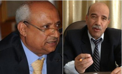 المدير التنفيذي لصندوق رعاية المعاقين يبحث مع وزير ...